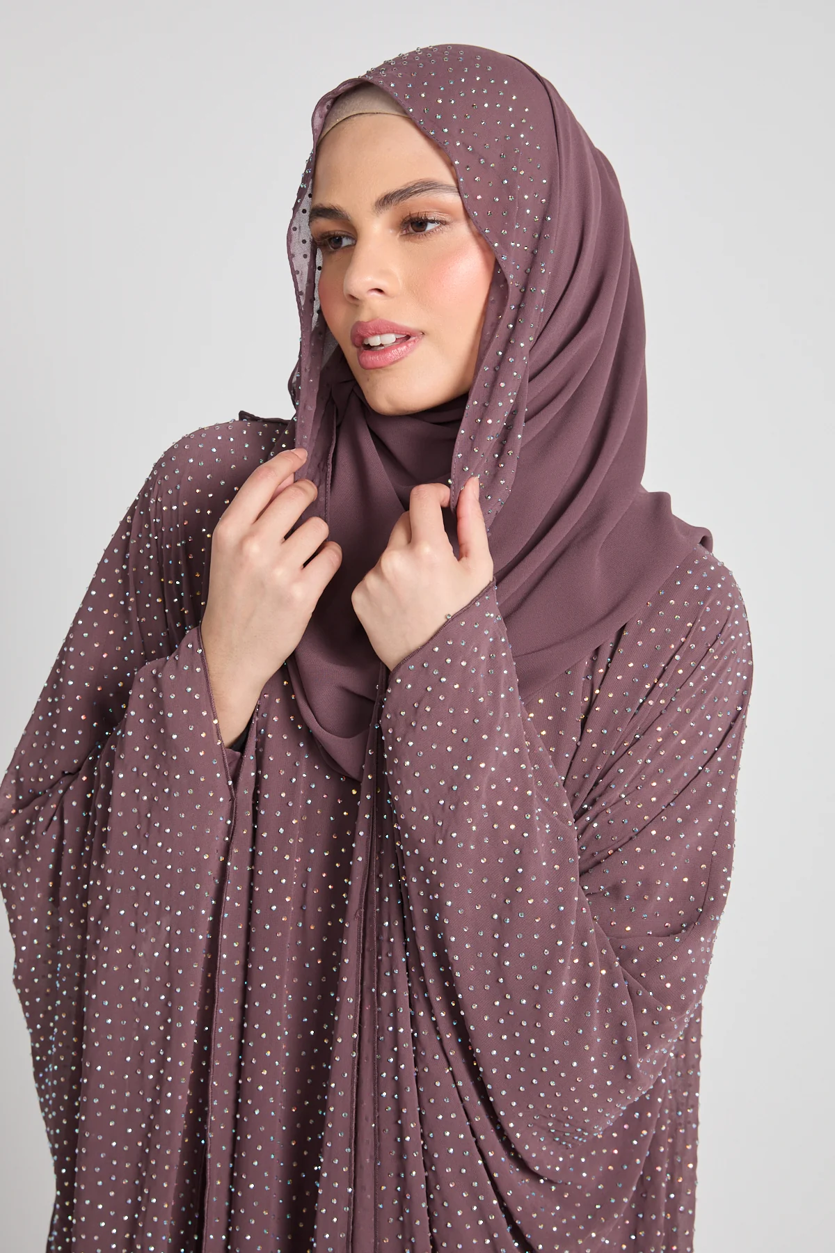 Luxury Stardust Embellished Chiffon Overlay  - Twilight Mauve - Image 2